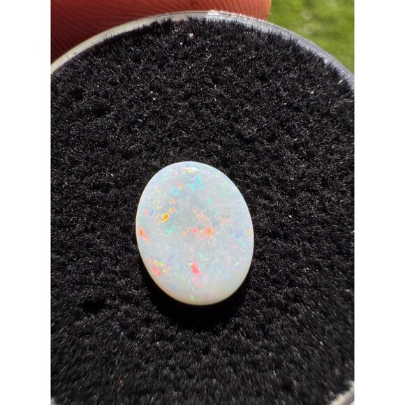 Australian Opal Cabochon - 1.02 carat in Display Box #199 - Picture 4 of 8